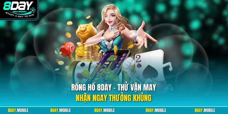 Rồng hổ 8Day