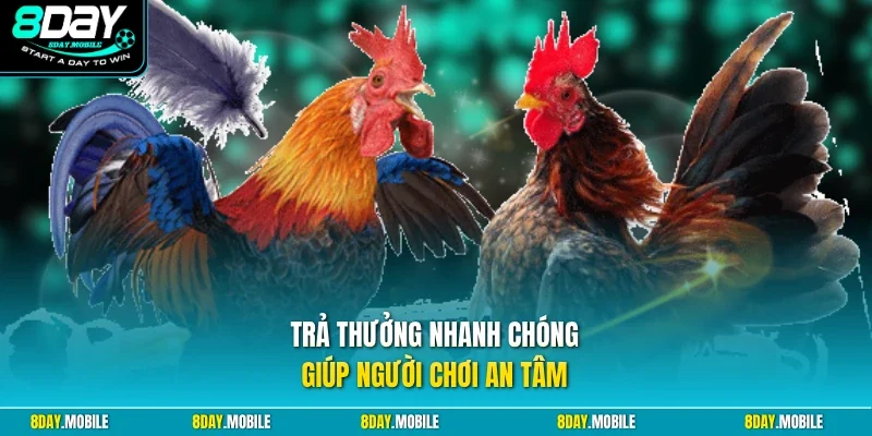 Trả thưởng nhanh chóng giúp người chơi an tâm