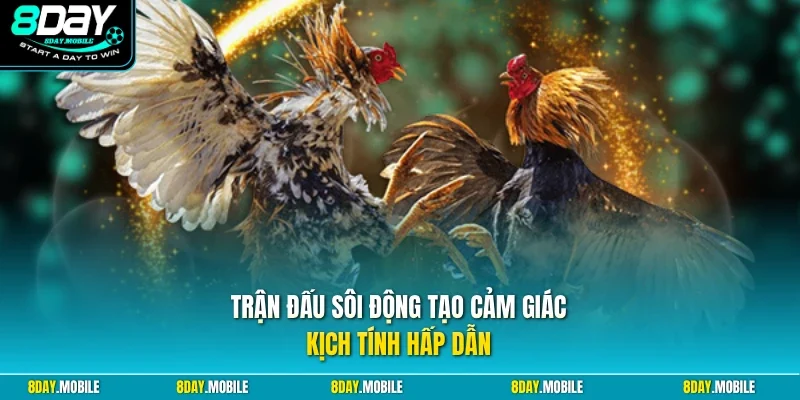 Trận đấu sôi động tạo cảm giác kịch tính hấp dẫn